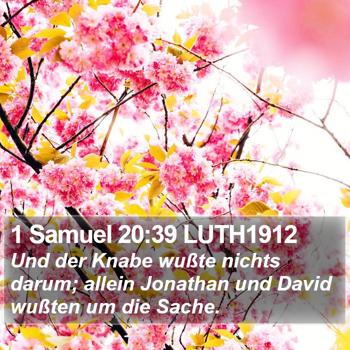 1 Samuel 20:39 LUTH1912 Bible Study