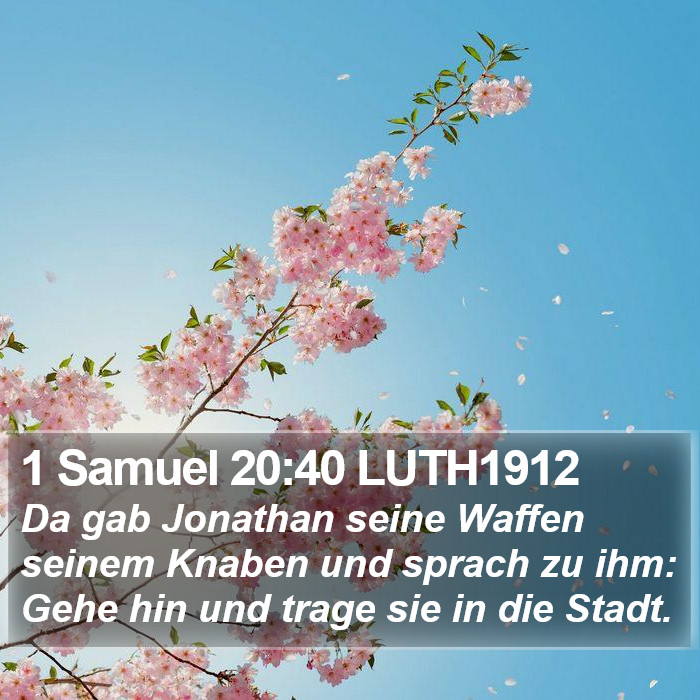 1 Samuel 20:40 LUTH1912 Bible Study