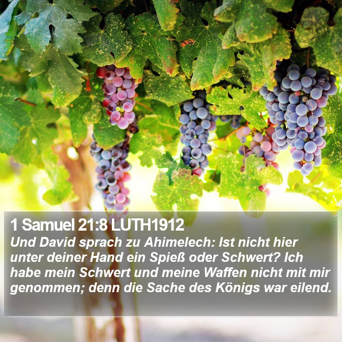 1 Samuel 21:8 LUTH1912 Bible Study