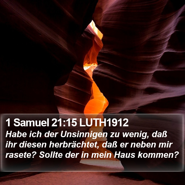 1 Samuel 21:15 LUTH1912 Bible Study