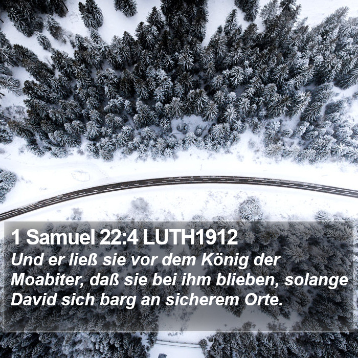 1 Samuel 22:4 LUTH1912 Bible Study