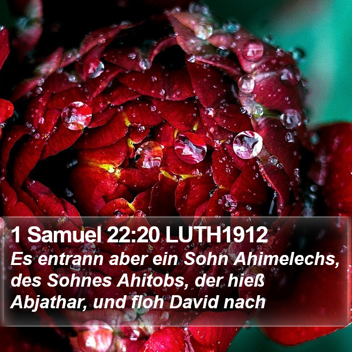 1 Samuel 22:20 LUTH1912 Bible Study