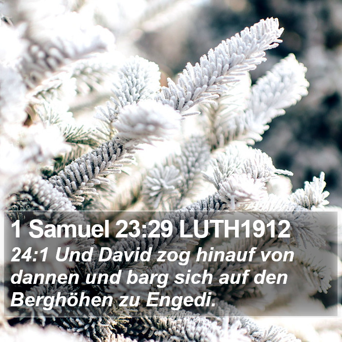 1 Samuel 23:29 LUTH1912 Bible Study