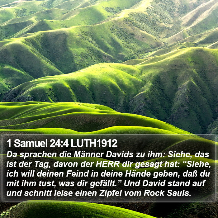 1 Samuel 24:4 LUTH1912 Bible Study