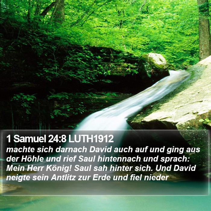 1 Samuel 24:8 LUTH1912 Bible Study