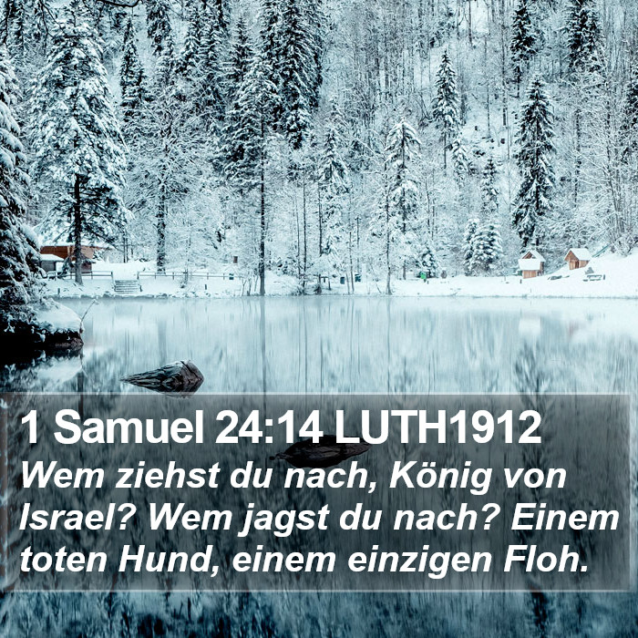 1 Samuel 24:14 LUTH1912 Bible Study