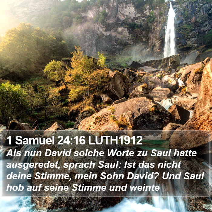 1 Samuel 24:16 LUTH1912 Bible Study