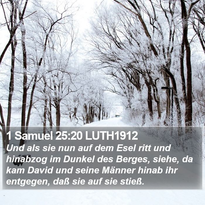 1 Samuel 25:20 LUTH1912 Bible Study