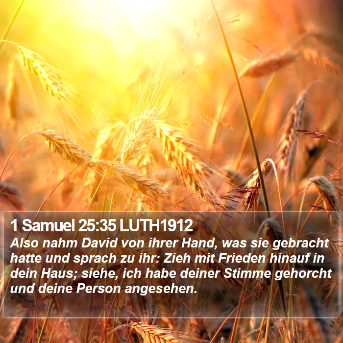 1 Samuel 25:35 LUTH1912 Bible Study