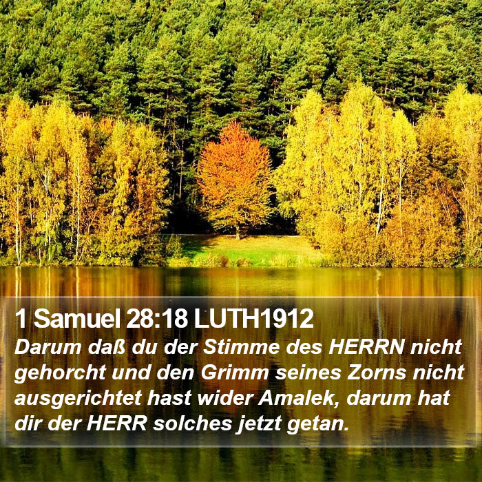 1 Samuel 28:18 LUTH1912 Bible Study