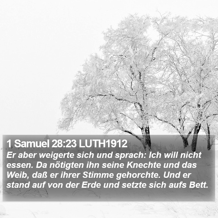 1 Samuel 28:23 LUTH1912 Bible Study