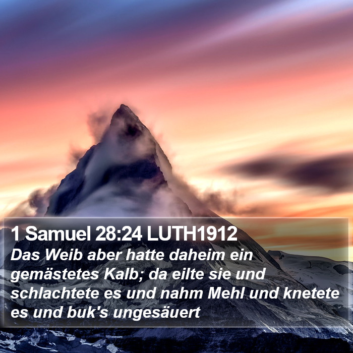 1 Samuel 28:24 LUTH1912 Bible Study