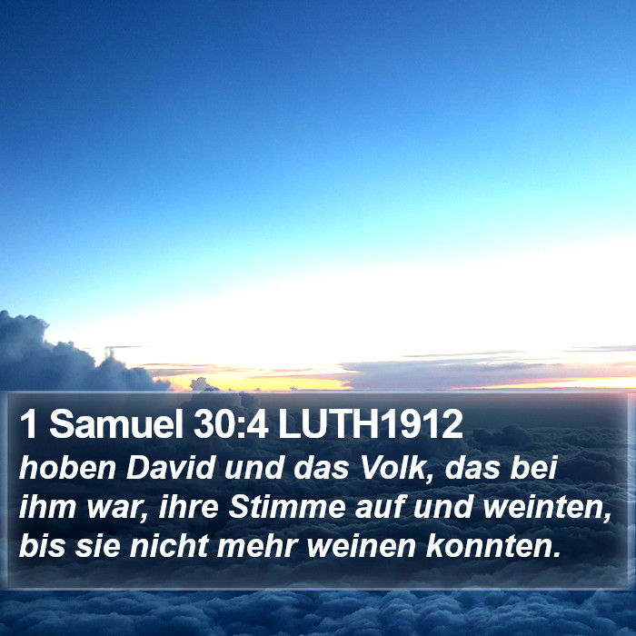 1 Samuel 30:4 LUTH1912 Bible Study