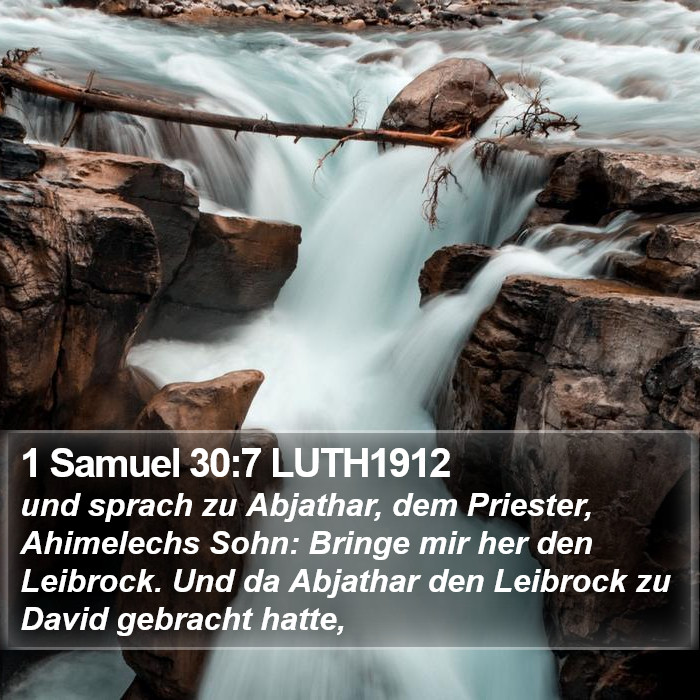 1 Samuel 30:7 LUTH1912 Bible Study