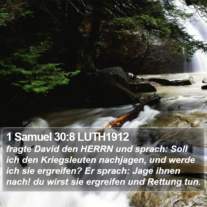 1 Samuel 30:8 LUTH1912 Bible Study