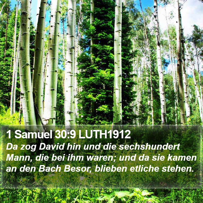 1 Samuel 30:9 LUTH1912 Bible Study