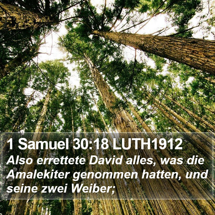 1 Samuel 30:18 LUTH1912 Bible Study