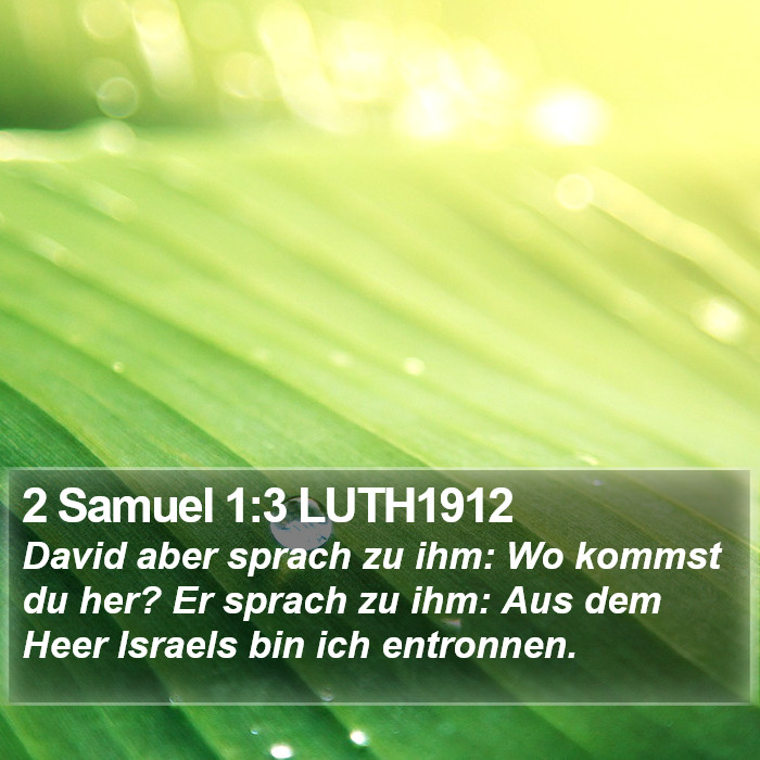 2 Samuel 1:3 LUTH1912 Bible Study