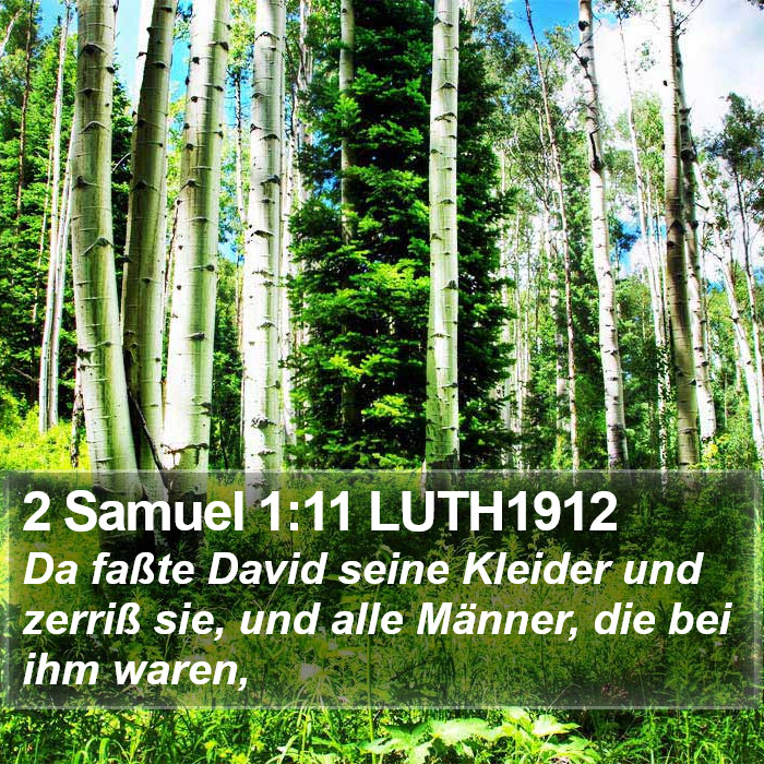 2 Samuel 1:11 LUTH1912 Bible Study