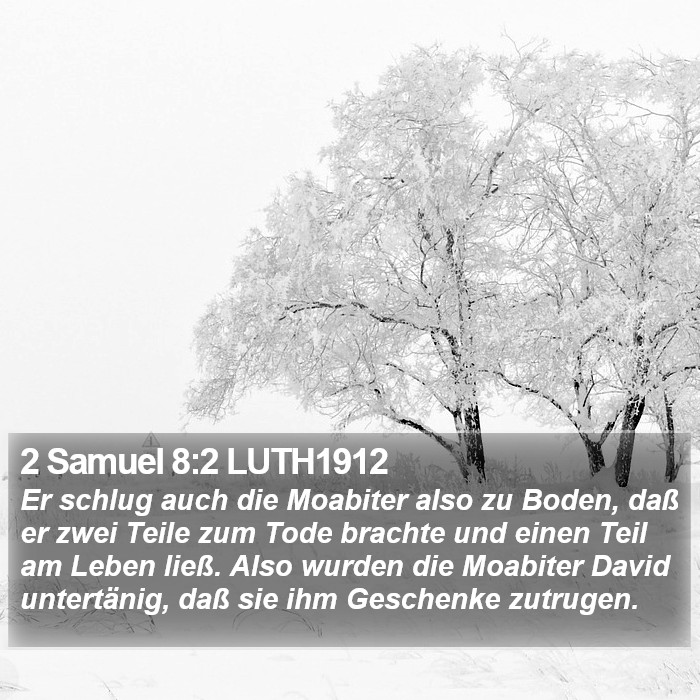 2 Samuel 8:2 LUTH1912 Bible Study