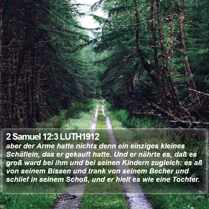 2 Samuel 12:3 LUTH1912 Bible Study