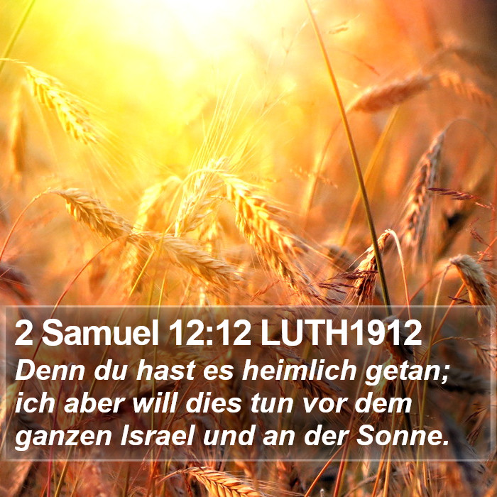 2 Samuel 12:12 LUTH1912 Bible Study