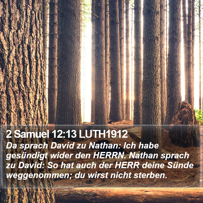 2 Samuel 12:13 LUTH1912 Bible Study