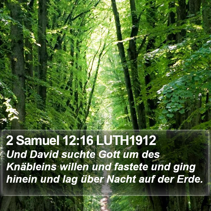 2 Samuel 12:16 LUTH1912 Bible Study