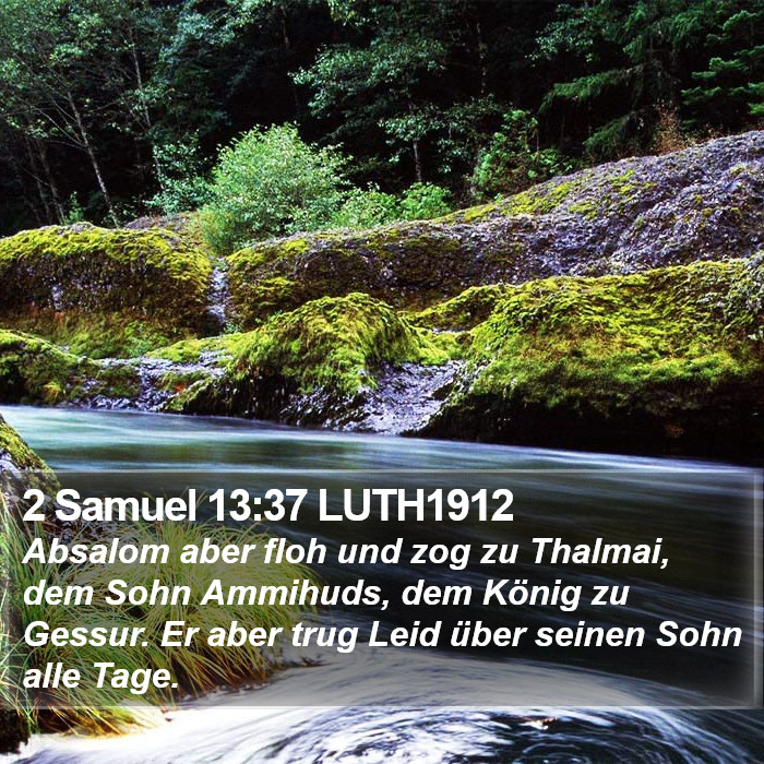 2 Samuel 13:37 LUTH1912 Bible Study