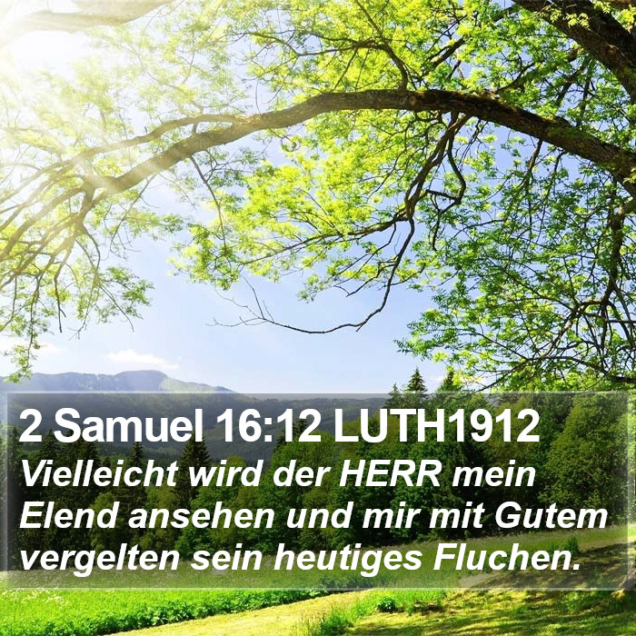 2 Samuel 16:12 LUTH1912 Bible Study