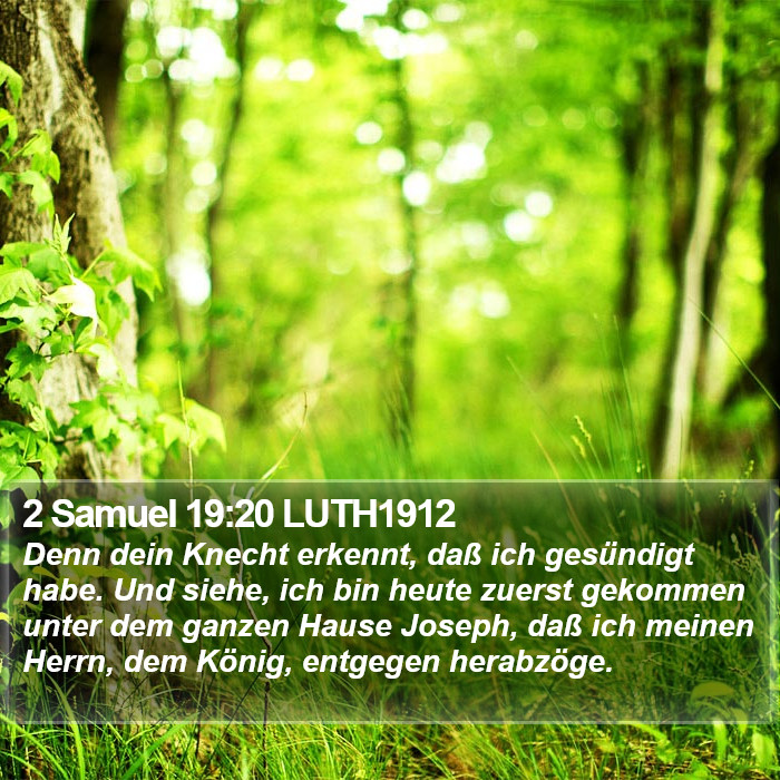 2 Samuel 19:20 LUTH1912 Bible Study