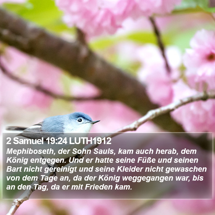 2 Samuel 19:24 LUTH1912 Bible Study