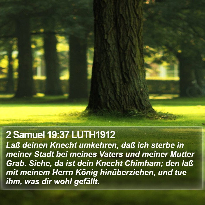 2 Samuel 19:37 LUTH1912 Bible Study