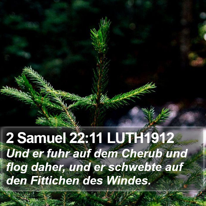 2 Samuel 22:11 LUTH1912 Bible Study