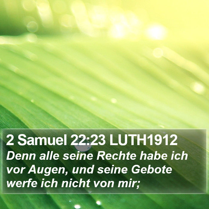2 Samuel 22:23 LUTH1912 Bible Study