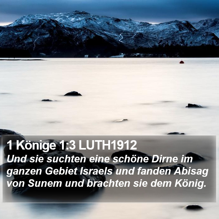 1 Könige 1:3 LUTH1912 Bible Study