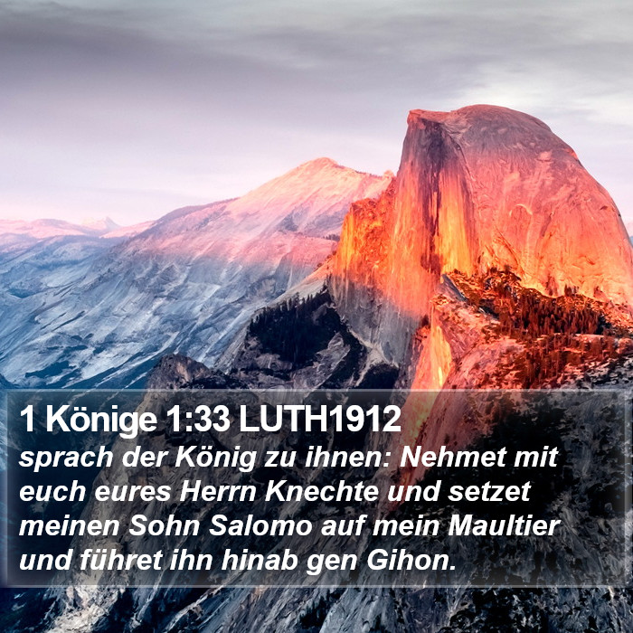 1 Könige 1:33 LUTH1912 Bible Study