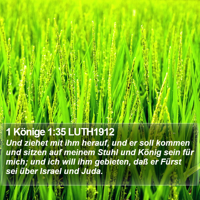 1 Könige 1:35 LUTH1912 Bible Study