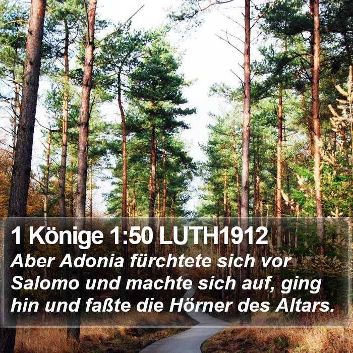 1 Könige 1:50 LUTH1912 Bible Study