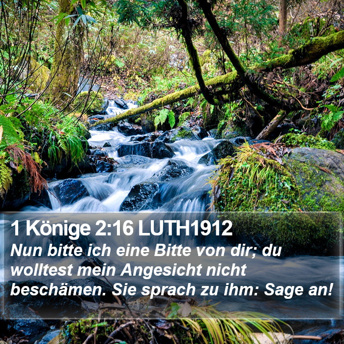 1 Könige 2:16 LUTH1912 Bible Study