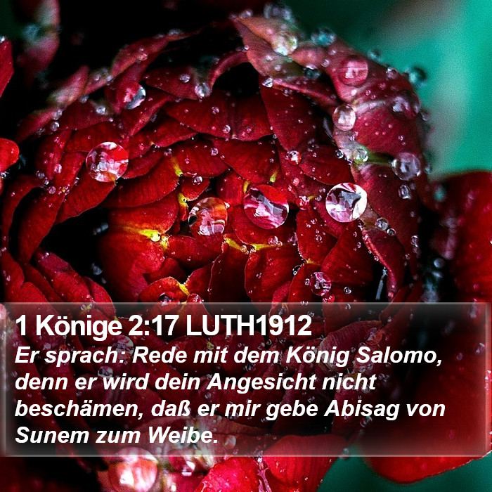 1 Könige 2:17 LUTH1912 Bible Study