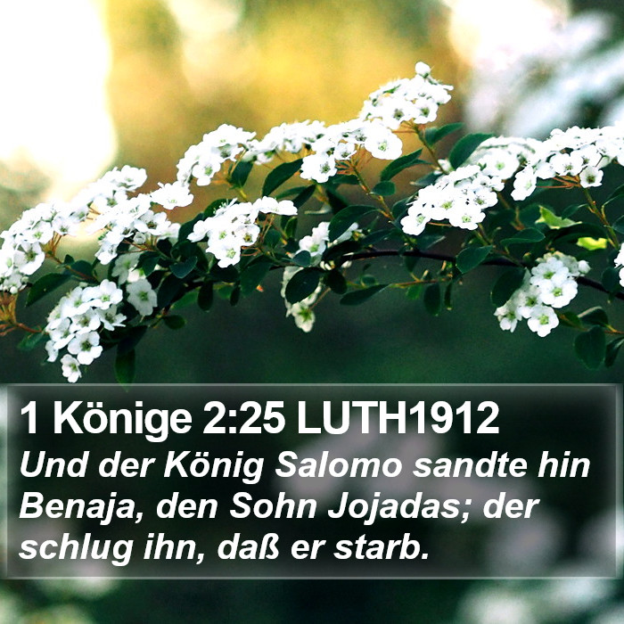 1 Könige 2:25 LUTH1912 Bible Study