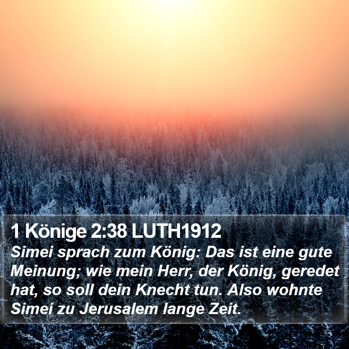 1 Könige 2:38 LUTH1912 Bible Study