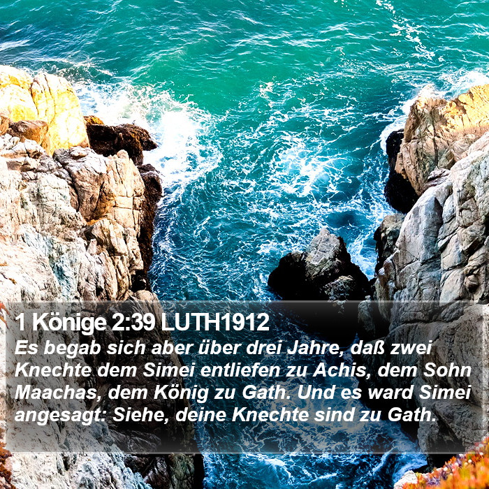 1 Könige 2:39 LUTH1912 Bible Study