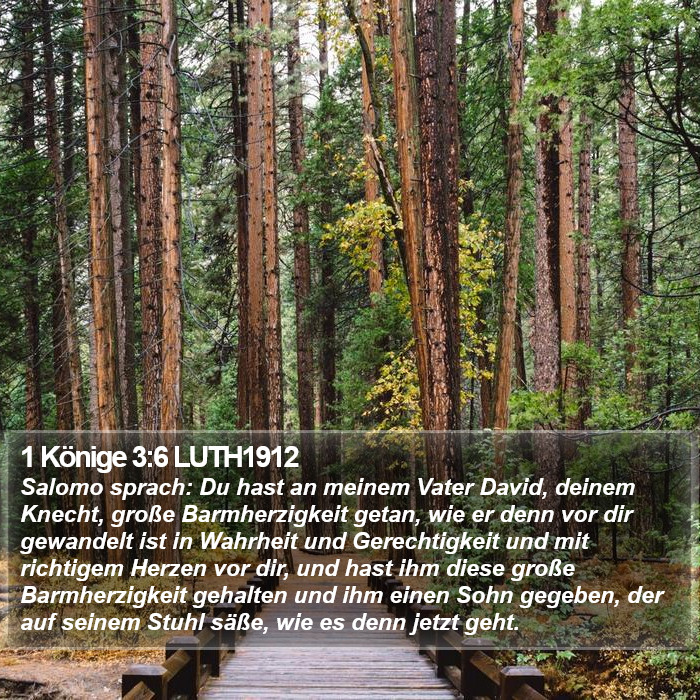 1 Könige 3:6 LUTH1912 Bible Study