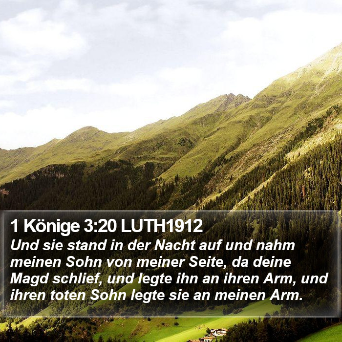 1 Könige 3:20 LUTH1912 Bible Study