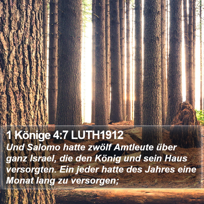 1 Könige 4:7 LUTH1912 Bible Study