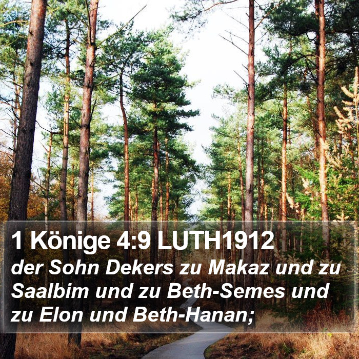 1 Könige 4:9 LUTH1912 Bible Study