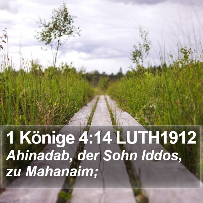 1 Könige 4:14 LUTH1912 Bible Study