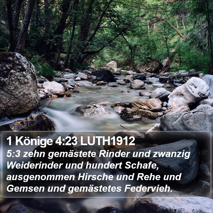 1 Könige 4:23 LUTH1912 Bible Study